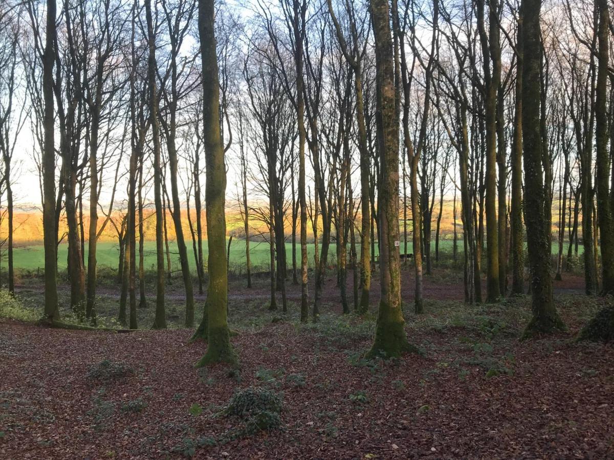 Mullaghmeen Forest Mullingar Esterno foto